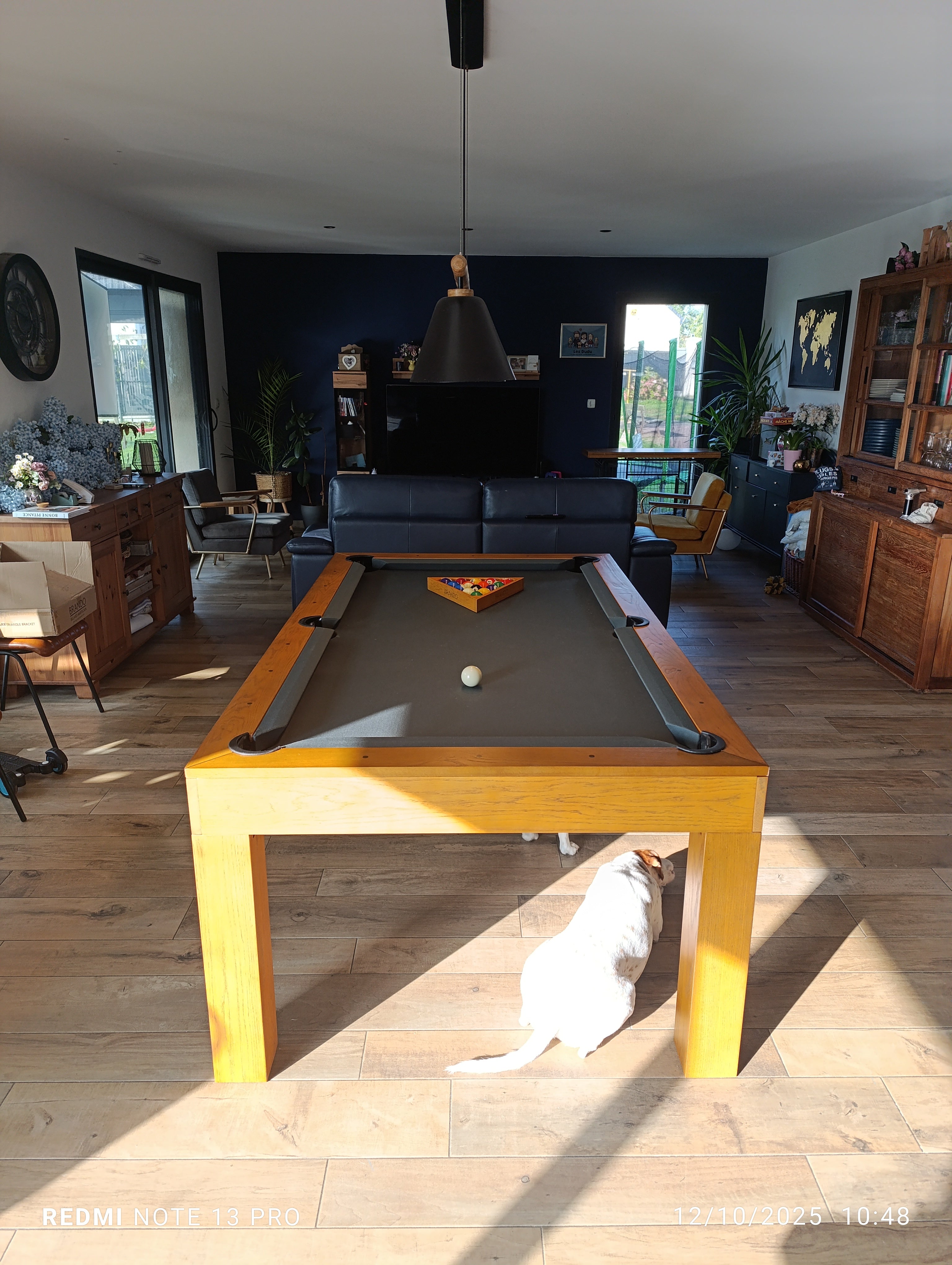 Billard Brando chez nos clients Image